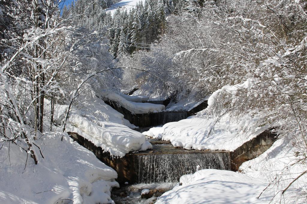 Bad Bergfallerhof Valdaora Esterno foto